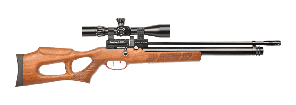 KRAL NISH W PUNCHER PCP AIR RIFLE REVIEW.