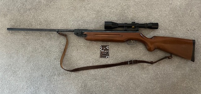 Air Gun Types and Technology